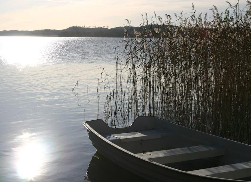 Sonstige Foto