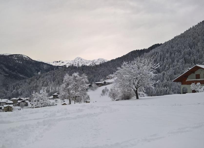 Außenansicht Foto