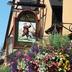 Sonstige