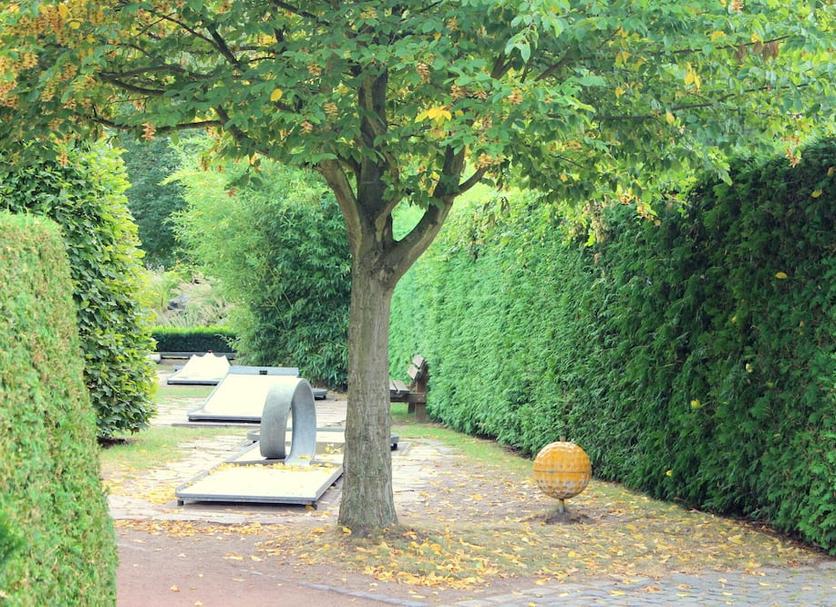 Sonstige Foto
