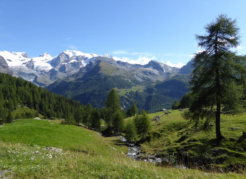 Außenansicht Foto