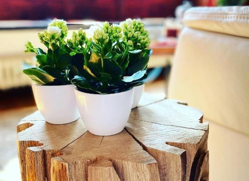 Zimmerausstattung Foto