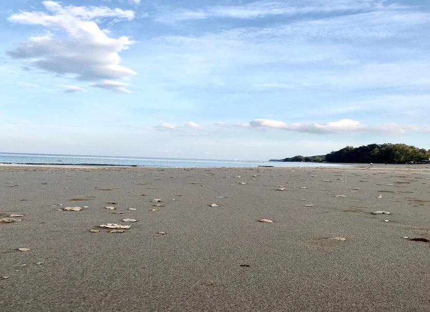 Strand Foto