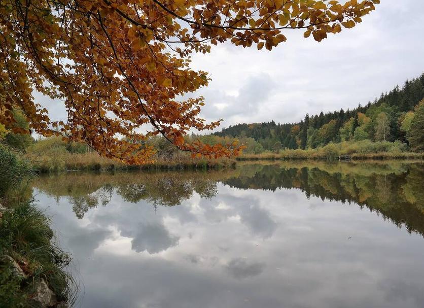 Außenansicht Foto