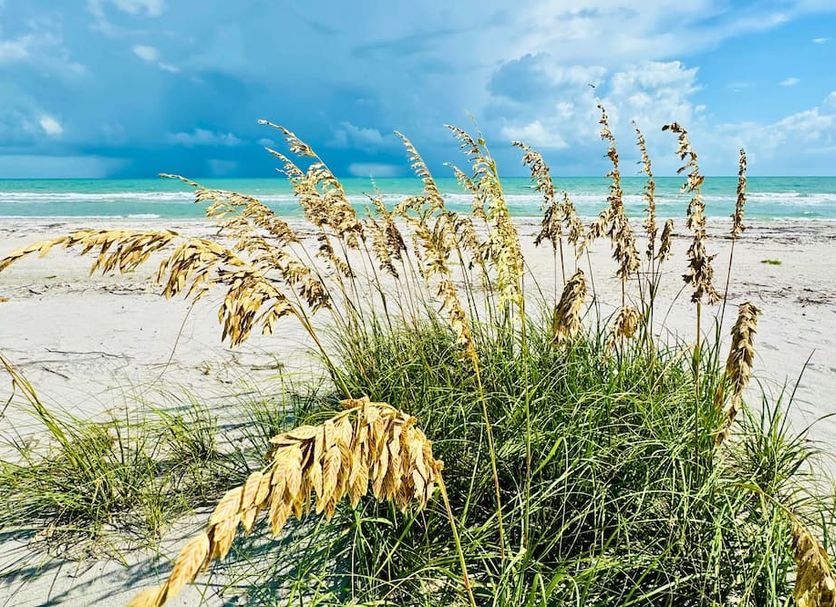 Strand Foto