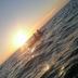 Sonstige