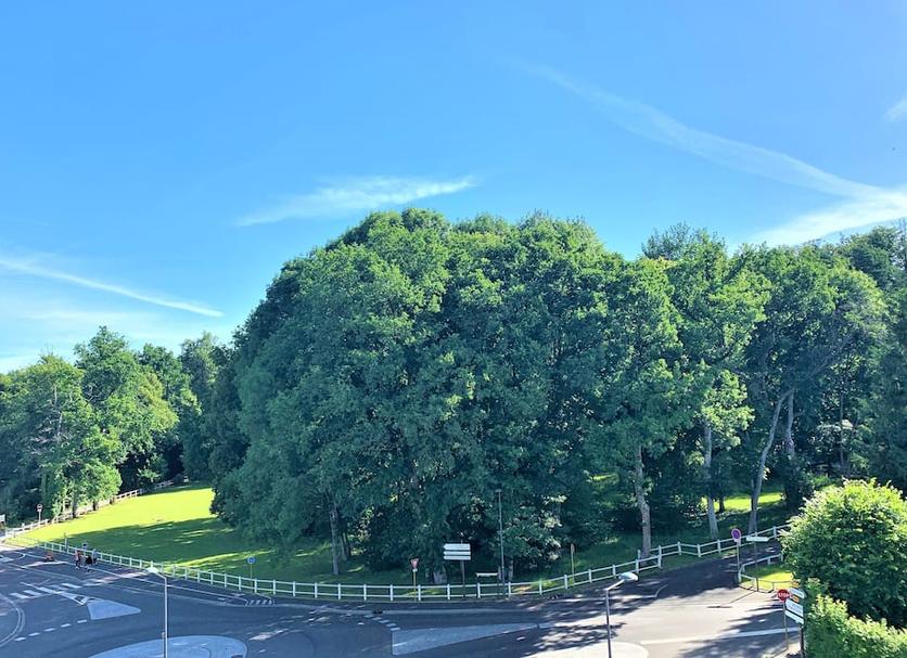 Außenansicht Foto