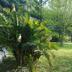 Sonstige