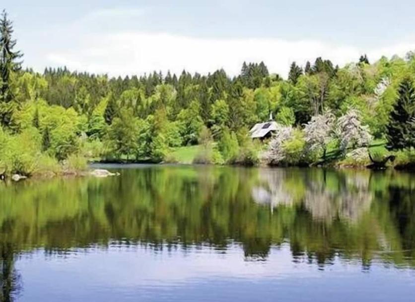 Außenansicht Foto