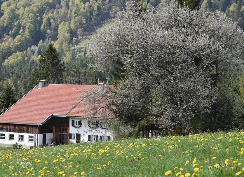 Sonstige Foto