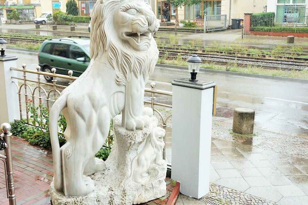Sonstige Foto