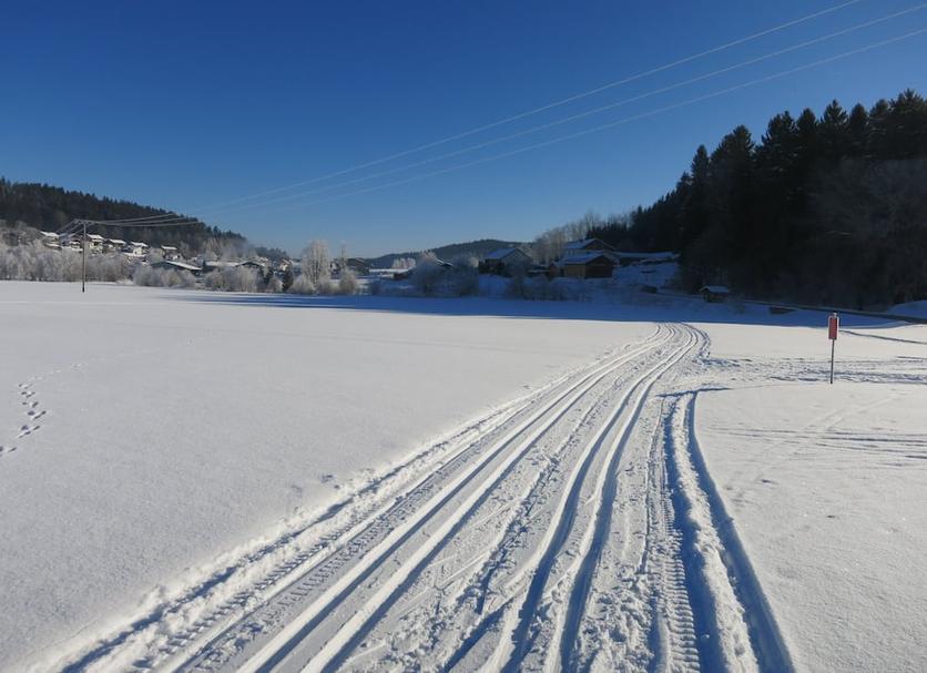 Sonstige Foto