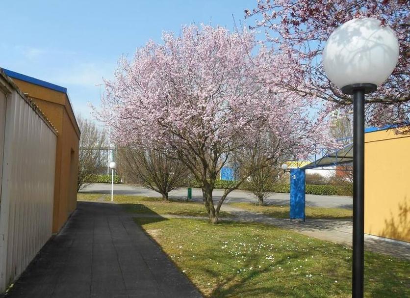 Außenansicht Foto