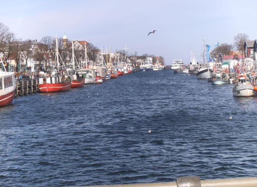 Sonstige Foto