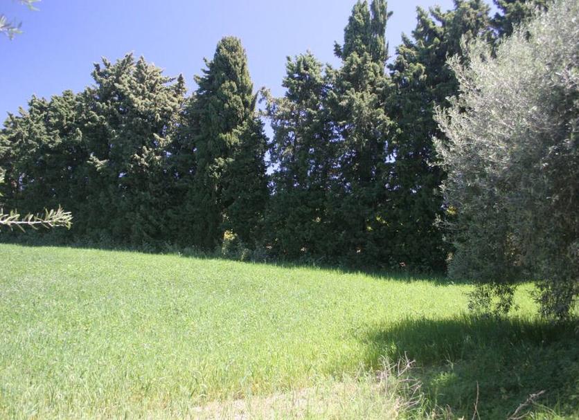 Außenansicht Foto