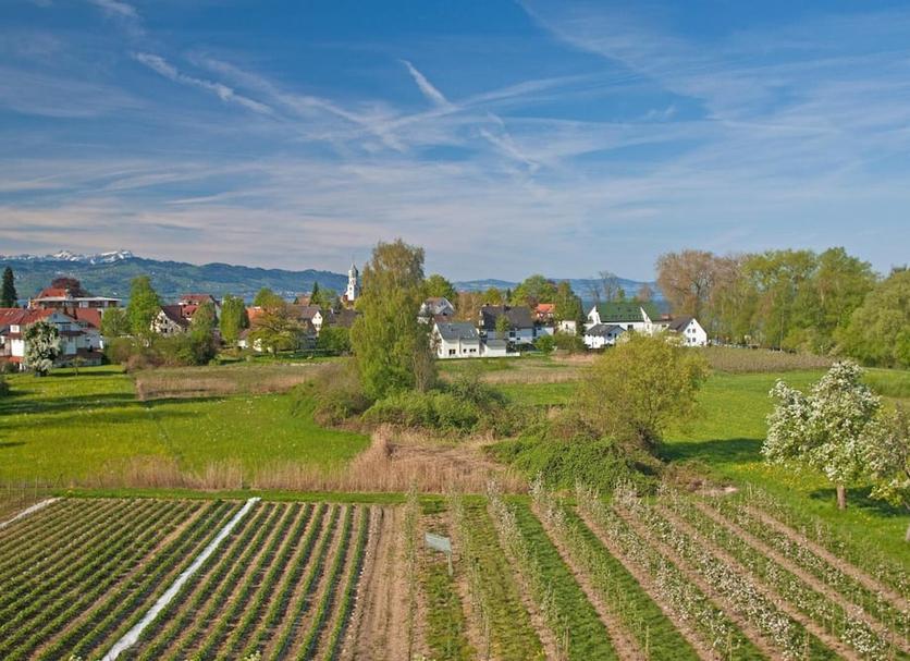 Außenansicht Foto