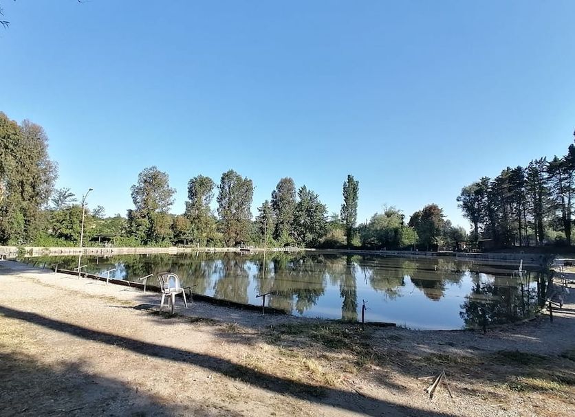 Sonstige Foto