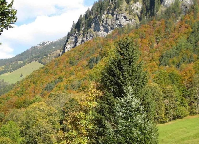 Außenansicht Foto