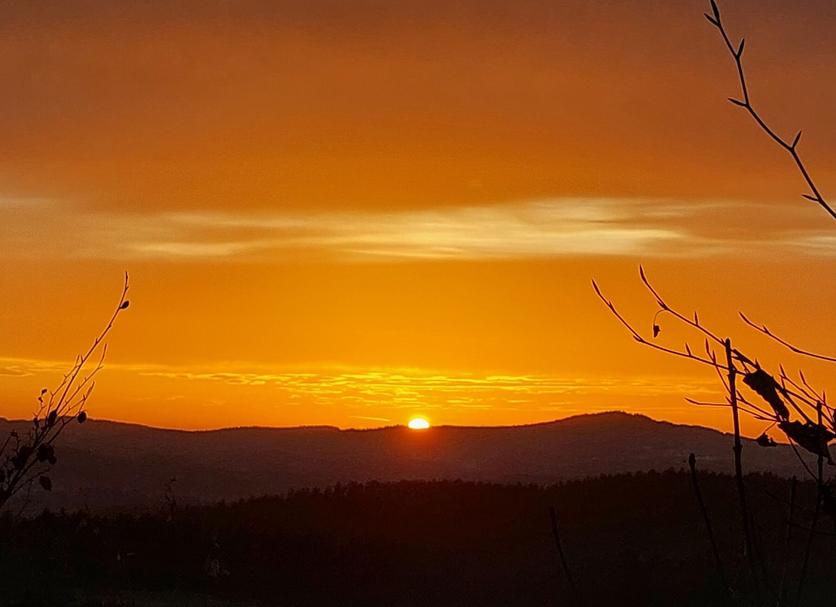 Außenansicht Foto
