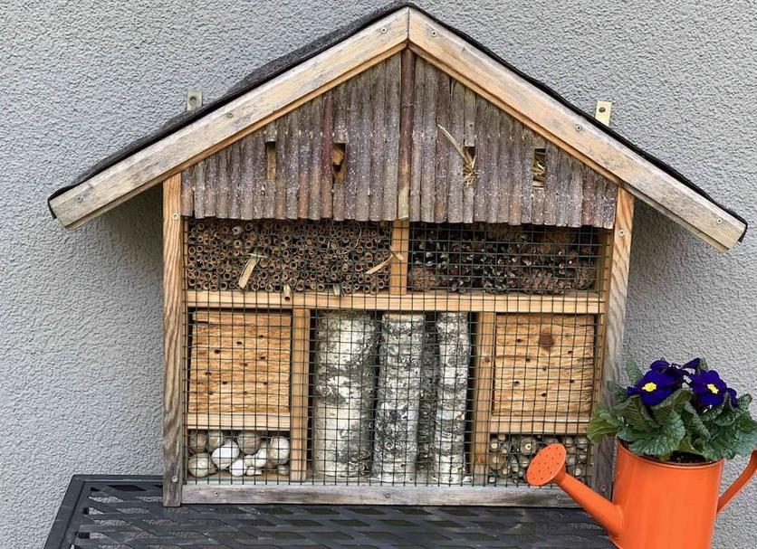 Außenansicht Foto