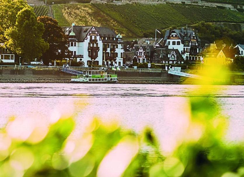Sonstige Foto