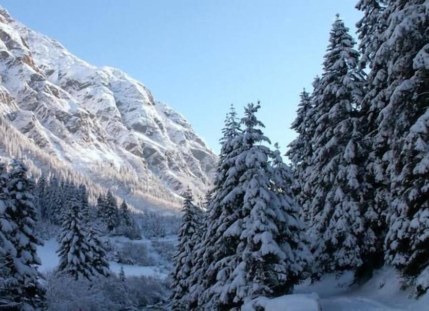 Außenansicht Foto