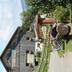 Sonstige