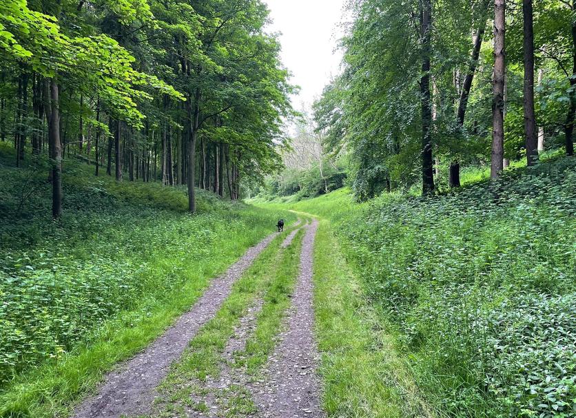 Außenansicht Foto