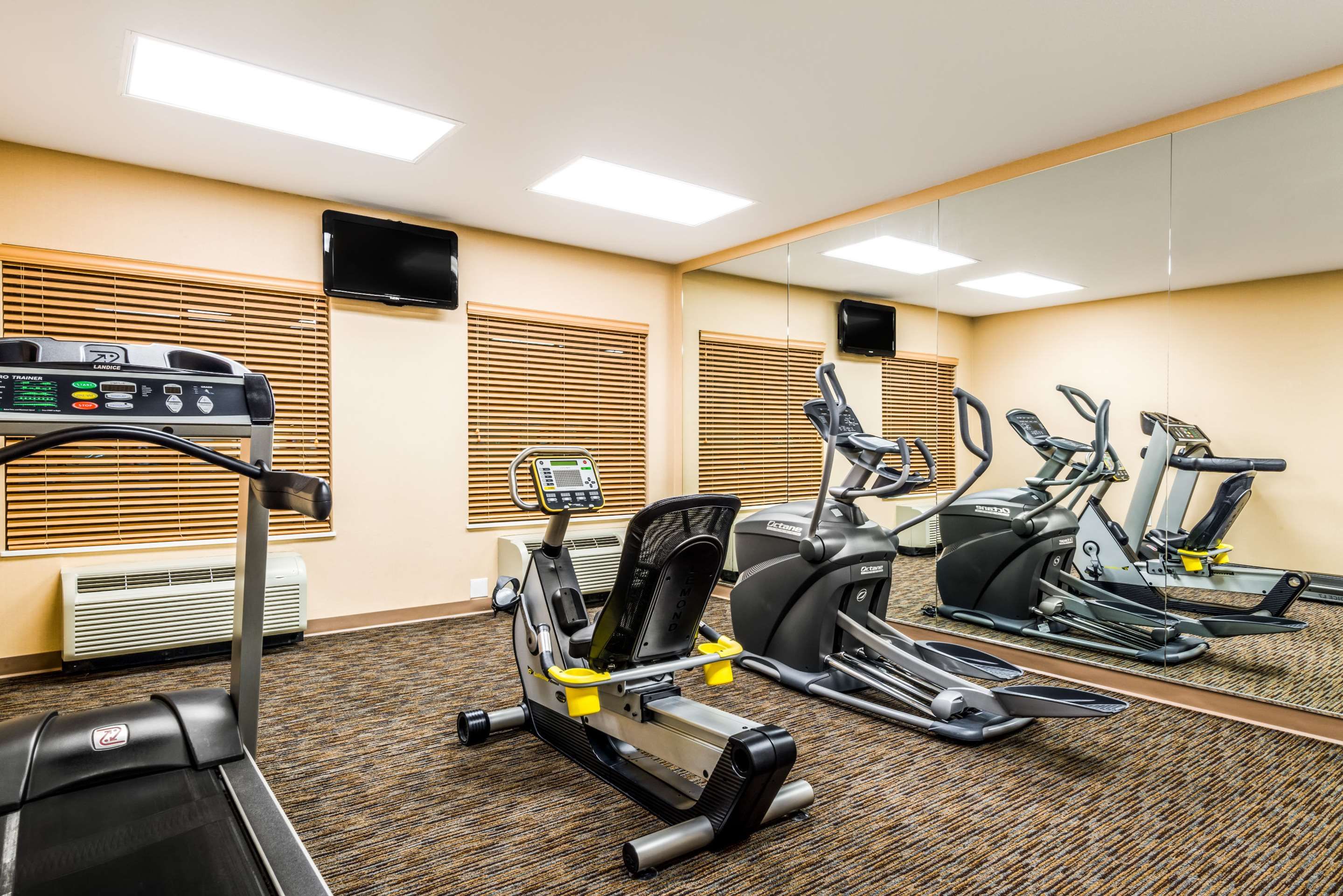 Fitnessbereich