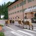 Sonstige