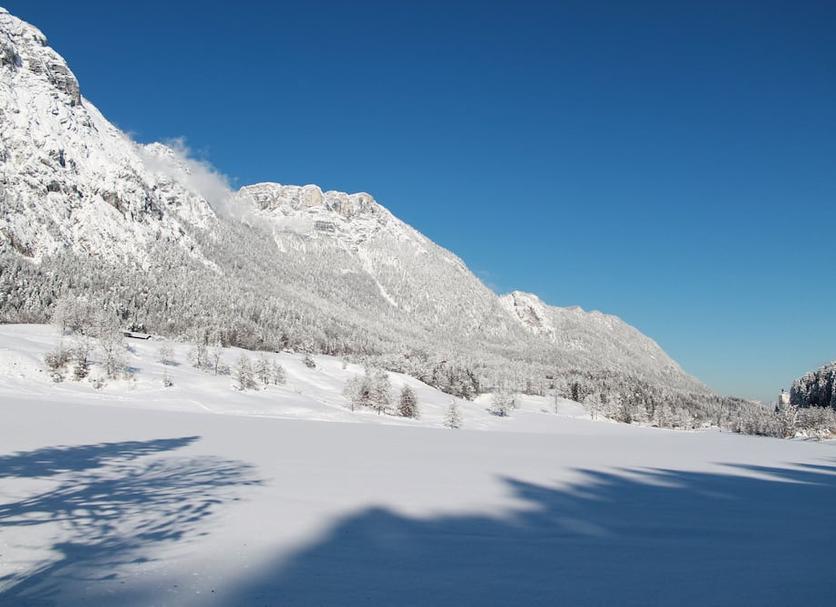 Sonstige Foto