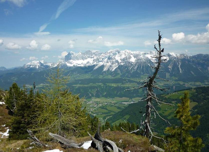 Außenansicht Foto