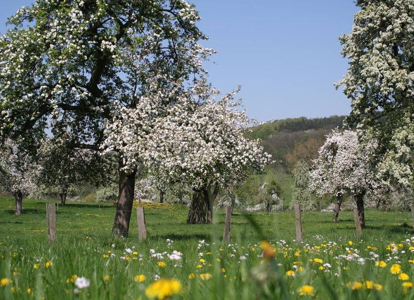 Außenansicht Foto
