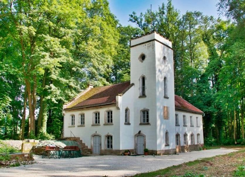 Sonstige Foto