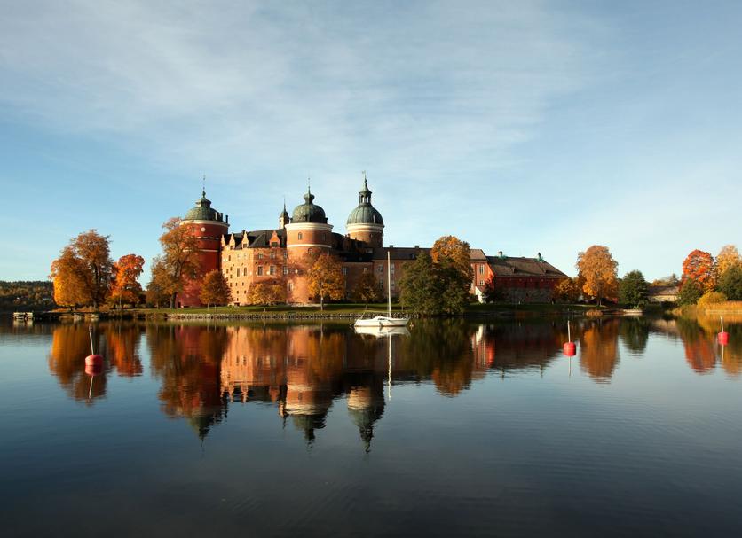 Sonstige Foto
