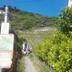 Sonstige