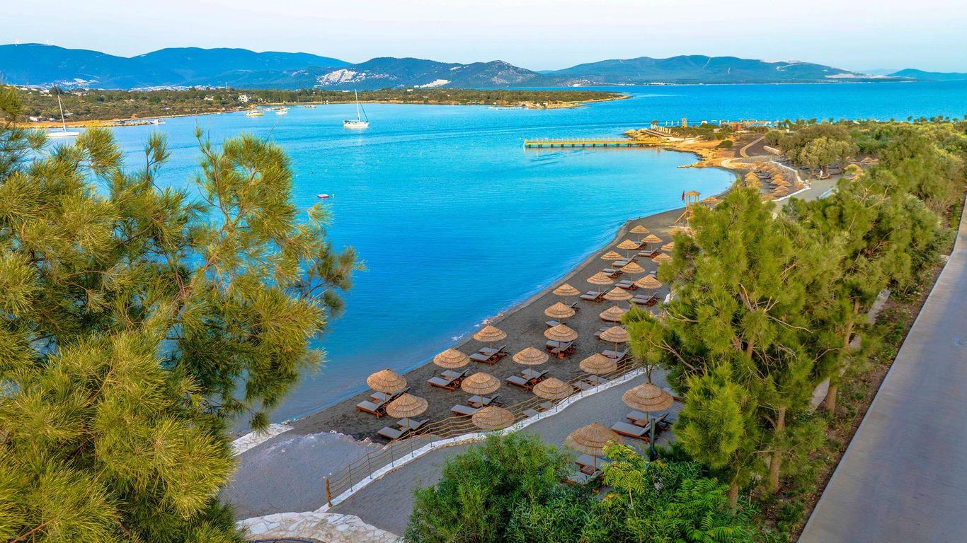 Anda Barut Collection