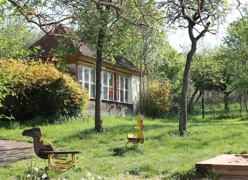 Sonstige Foto