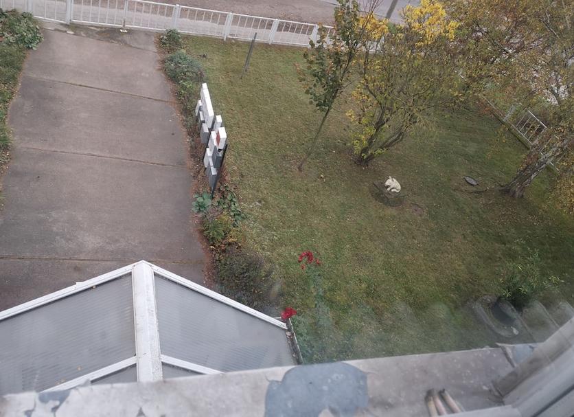 Außenansicht Foto