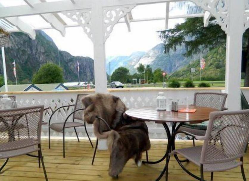 Balkon Foto