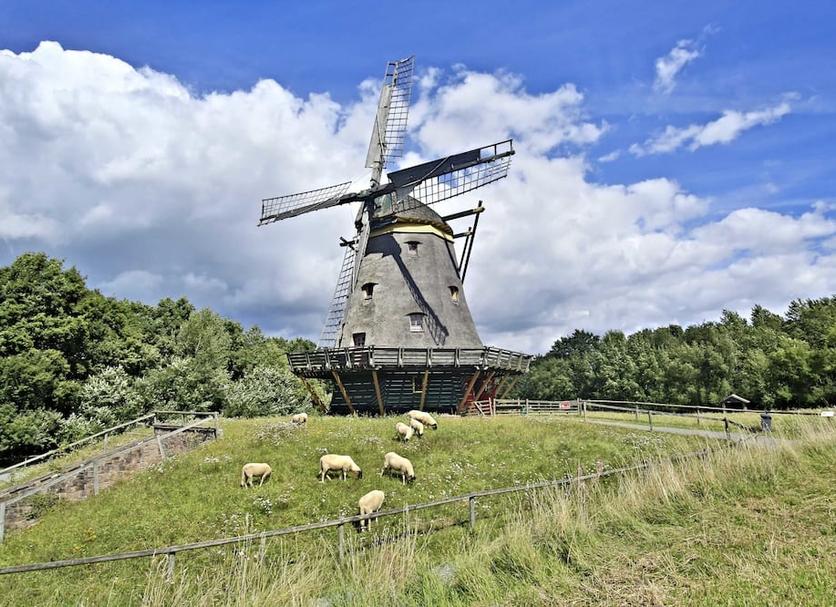 Sonstige Foto