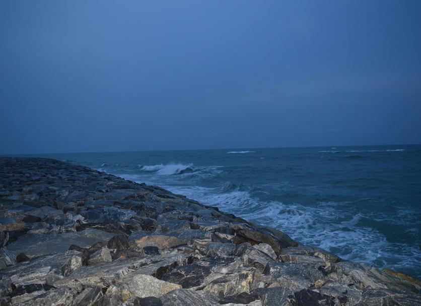 Sonstige Foto