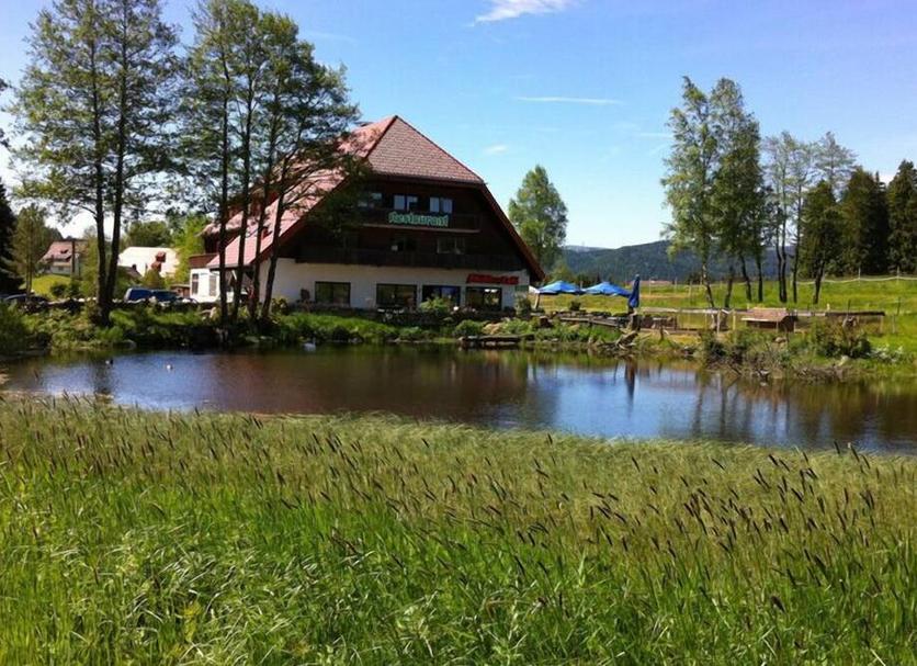 Sonstige Foto