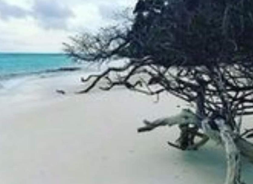 Strand Foto