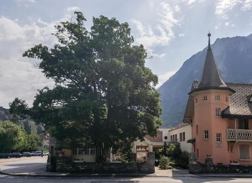 Außenansicht Foto