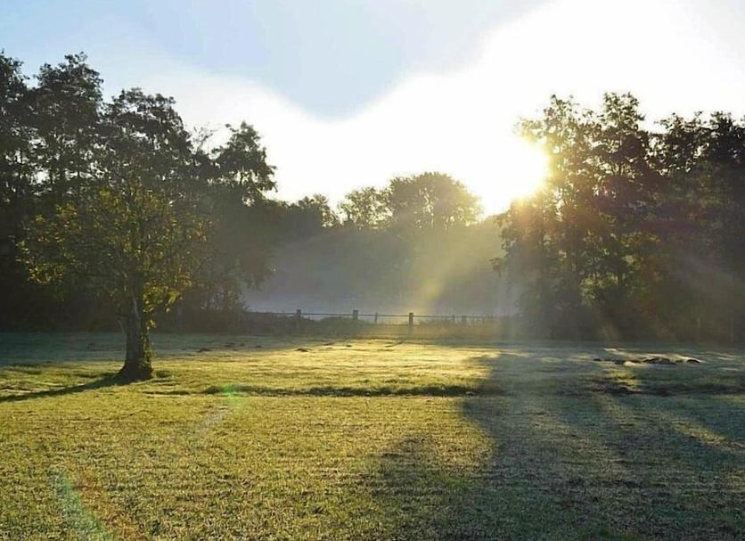 Außenansicht Foto