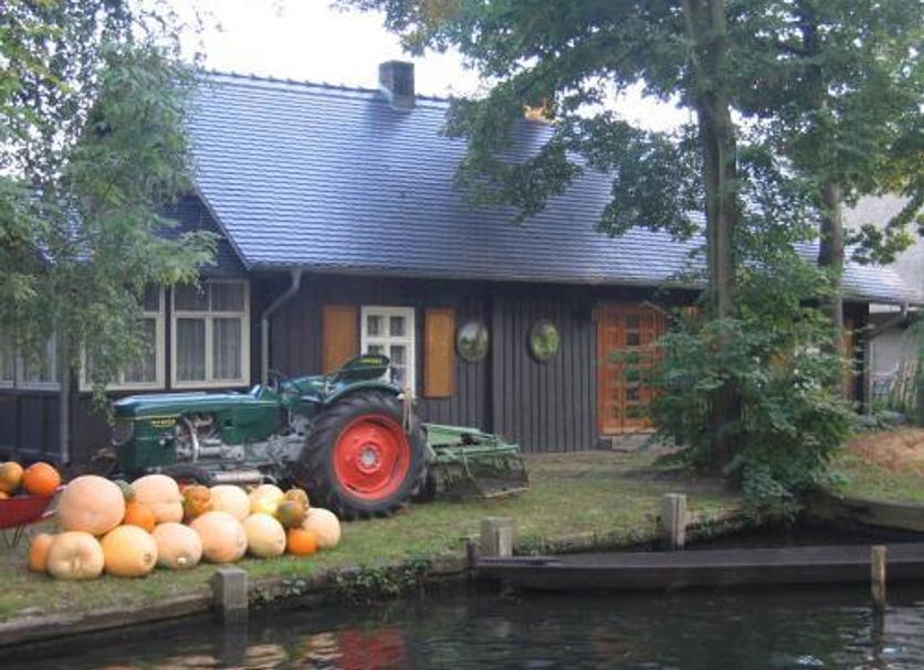 Sonstige Foto