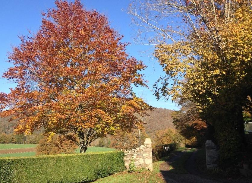 Außenansicht Foto