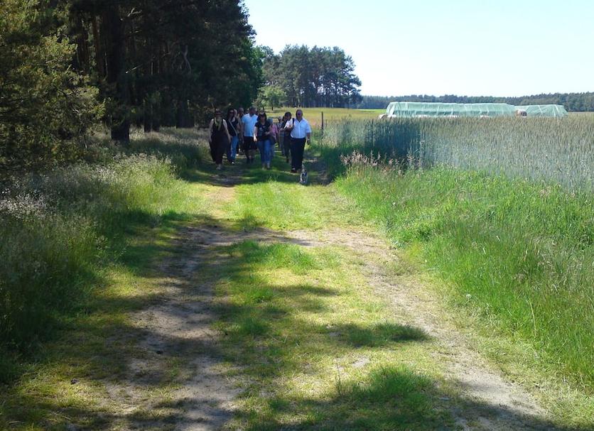 Sonstige Foto