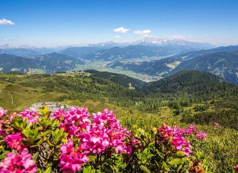 Außenansicht Foto